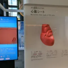 Nakanoshima Qross（中之島クロス）のiPS心筋シートの映像・資料展示
