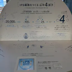 Nakanoshima Qross（中之島クロス）のiPSマスター