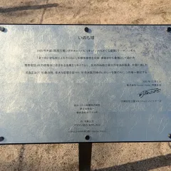 いのち球の説明
